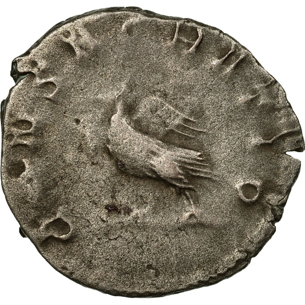 Münze,
Baldrian II.,
Antoninianus