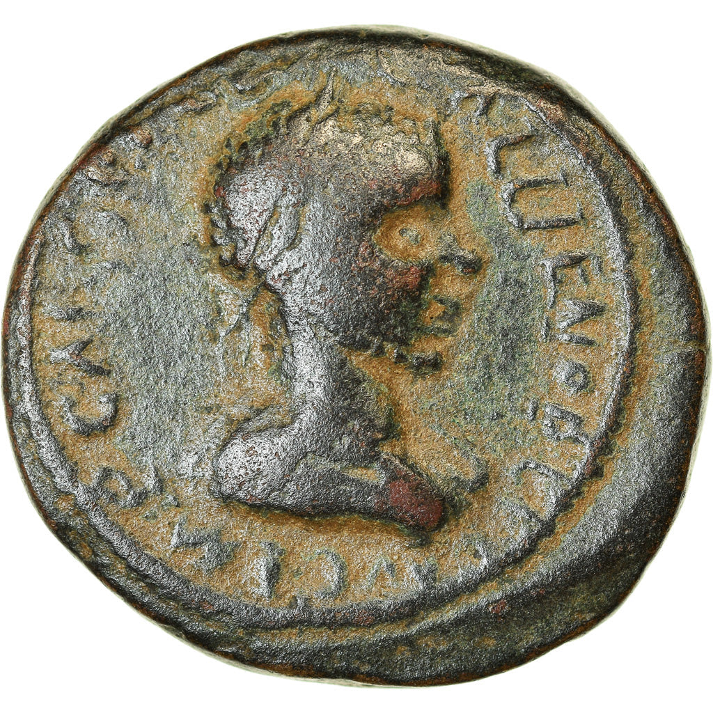 Münze,
Pisidien,
Gallienus
