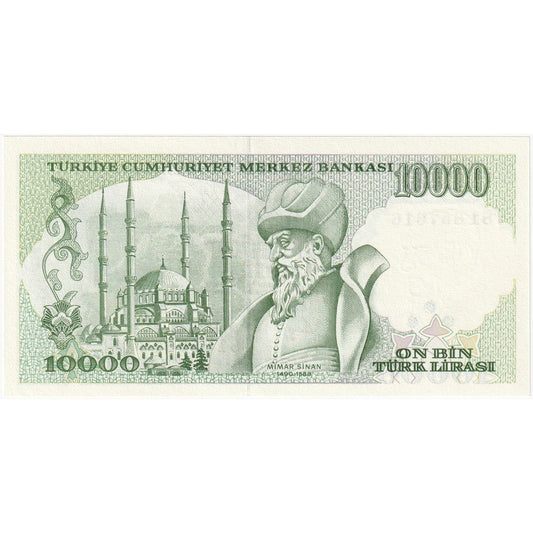 Truthahn, 
  
  10, 
  
  000 Lira