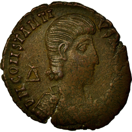 Münze, 
  
  Constantius Gallus, 
  
  Maiorina