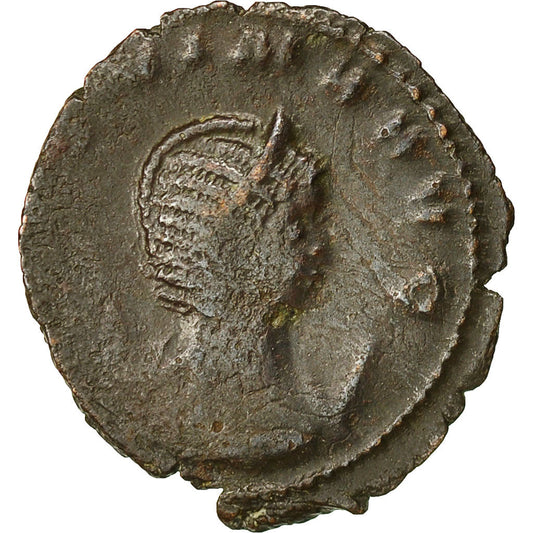 Münze, 
  
  Salonina, 
  
  Antoninianus