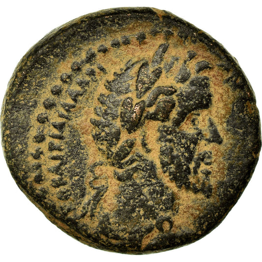 Münze, 
  
  Cyrrhestica, 
  
  Antoninus Pius