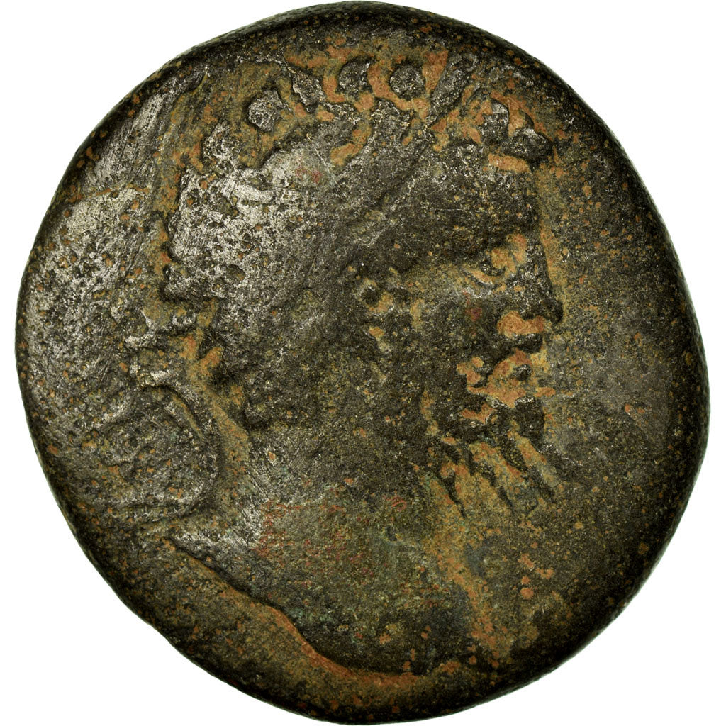 Münze, 
  
  Pontos, 
  
  Septimius Severus