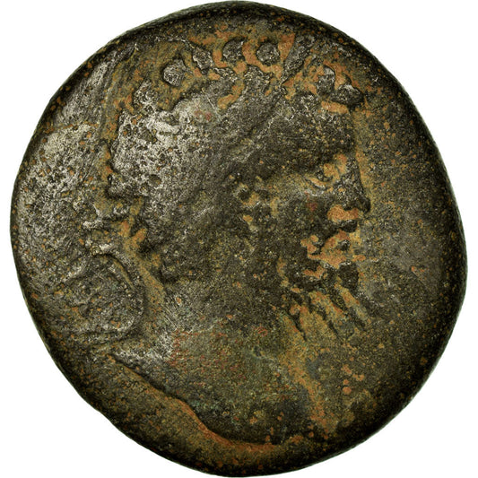 Münze, 
  
  Pontos, 
  
  Septimius Severus