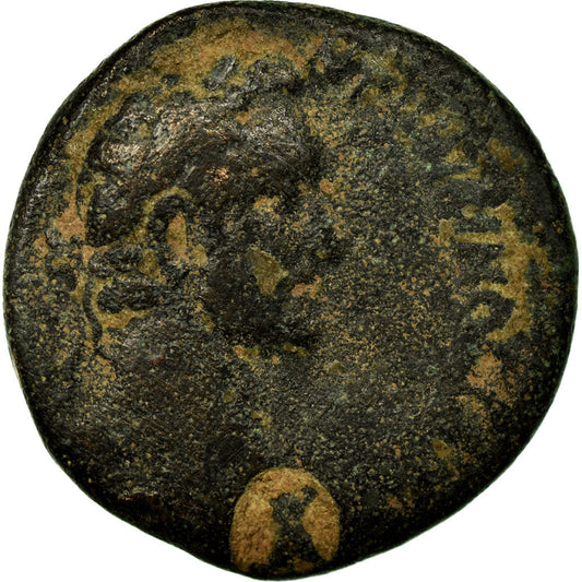 Münze, 
  
  Seleukis und Pieria, 
  
  Antoninus Pius