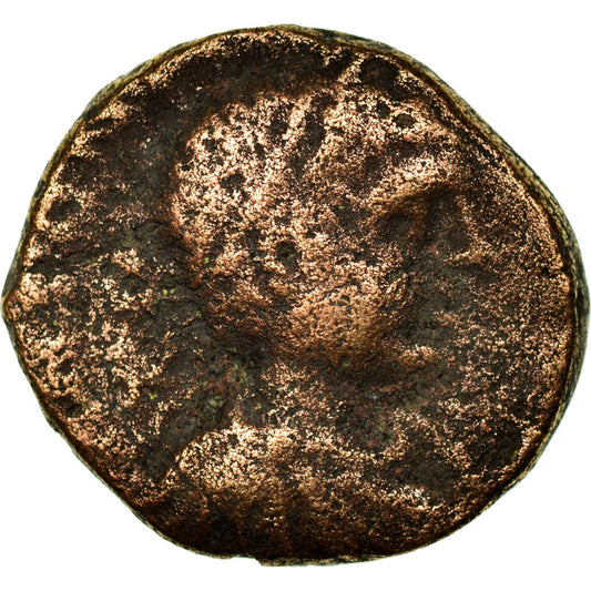 Münze, 
  
  Judäa, 
  
  Antipatras