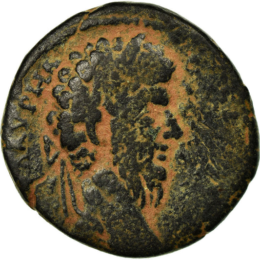 Münze, 
  
  Seleukis und Pieria, 
  
  Lucius Verus