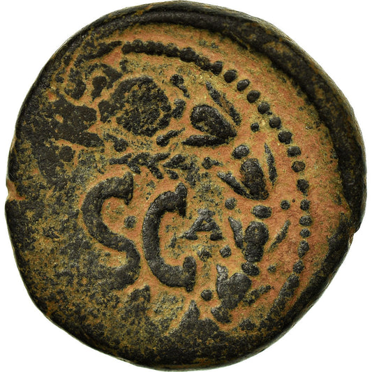 Münze, 
  
  Seleukis und Pieria, 
  
  Lucius Verus