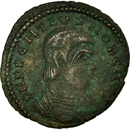 Münze, 
  
  Decentius, 
  
  Maiorina
