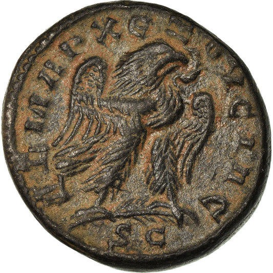 Münze, 
  
  Seleukis und Pieria, 
  
  Herennius Etruscus