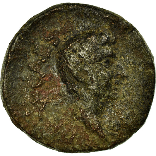 Münze, 
  
  Drusus, 
  
  Bronze Æ