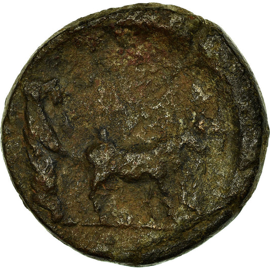 Münze, 
  
  Drusus, 
  
  Bronze Æ