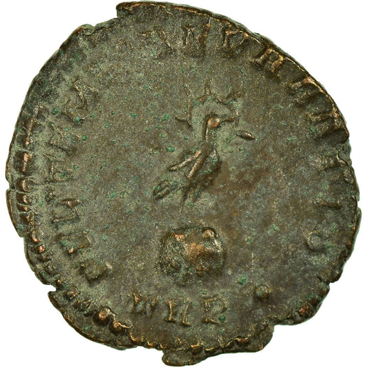 Münze, 
  
  Constans, 
  
  Halbe Maiorina