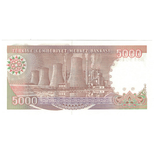 Banknote, 
  
  Truthahn, 
  
  5000 Lira