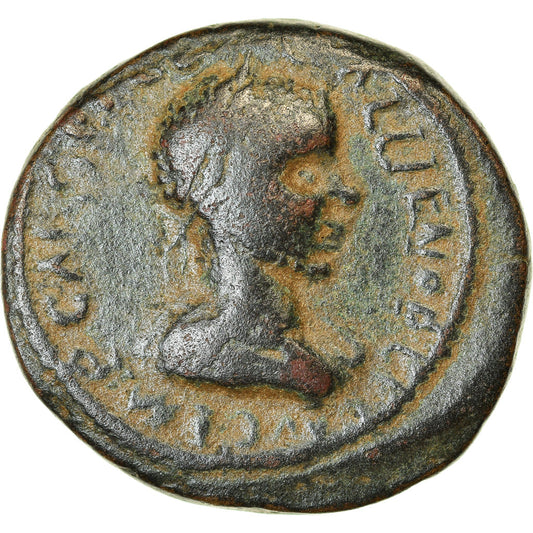 Münze, 
  
  Pisidien, 
  
  Gallienus