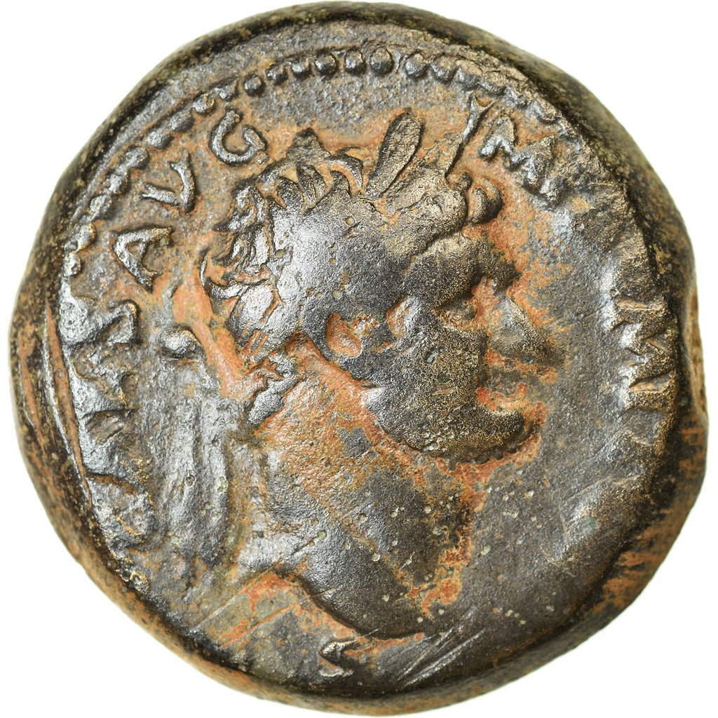 Münze, 
  
  Seleukis und Pieria, 
  
  Domitian