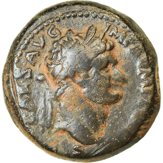 Münze, 
  
  Seleukis und Pieria, 
  
  Domitian