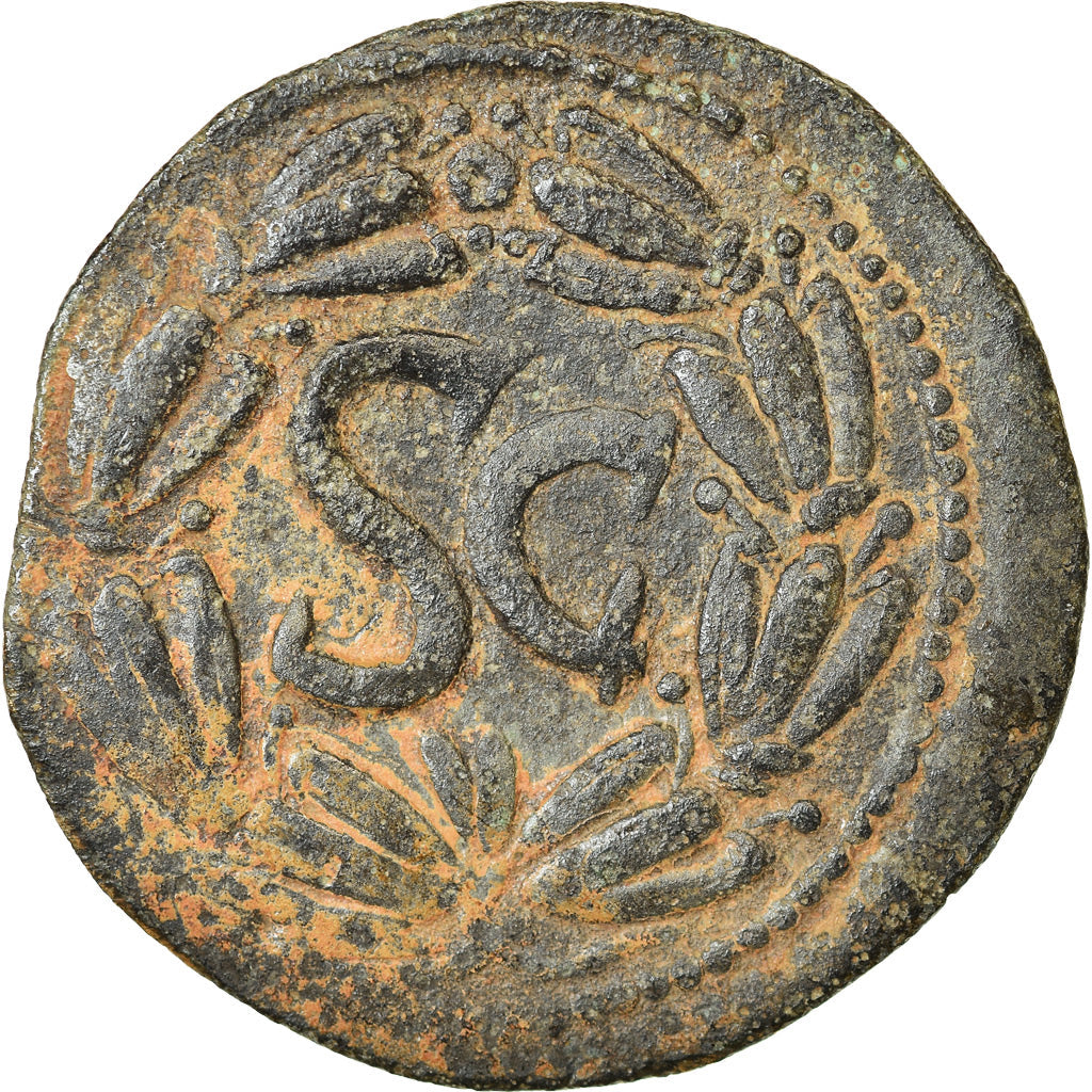 Münze, 
  
  Seleukis und Pieria, 
  
  Domitian