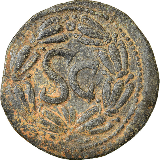 Münze, 
  
  Seleukis und Pieria, 
  
  Domitian