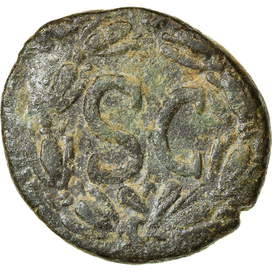Münze, 
  
  Seleukis und Pieria, 
  
  Nerva