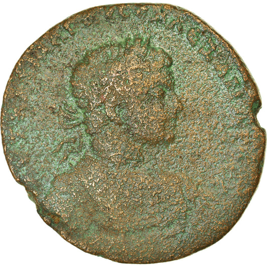 Münze, 
  
  Seleukis und Pieria, 
  
  Severus Alexander